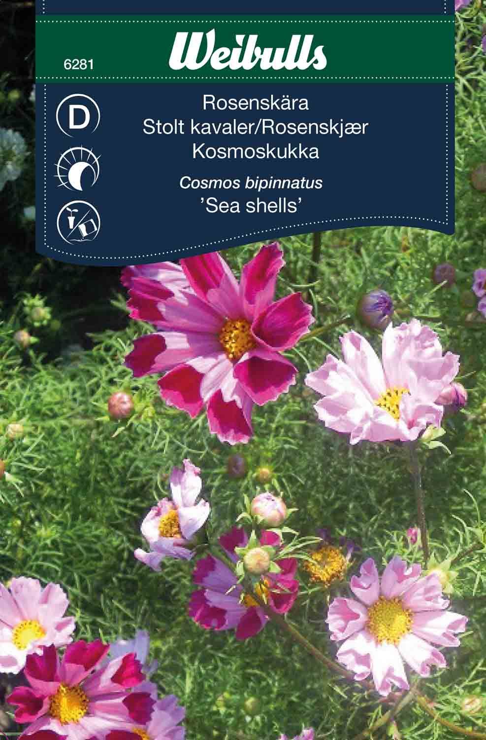 Rosenskära