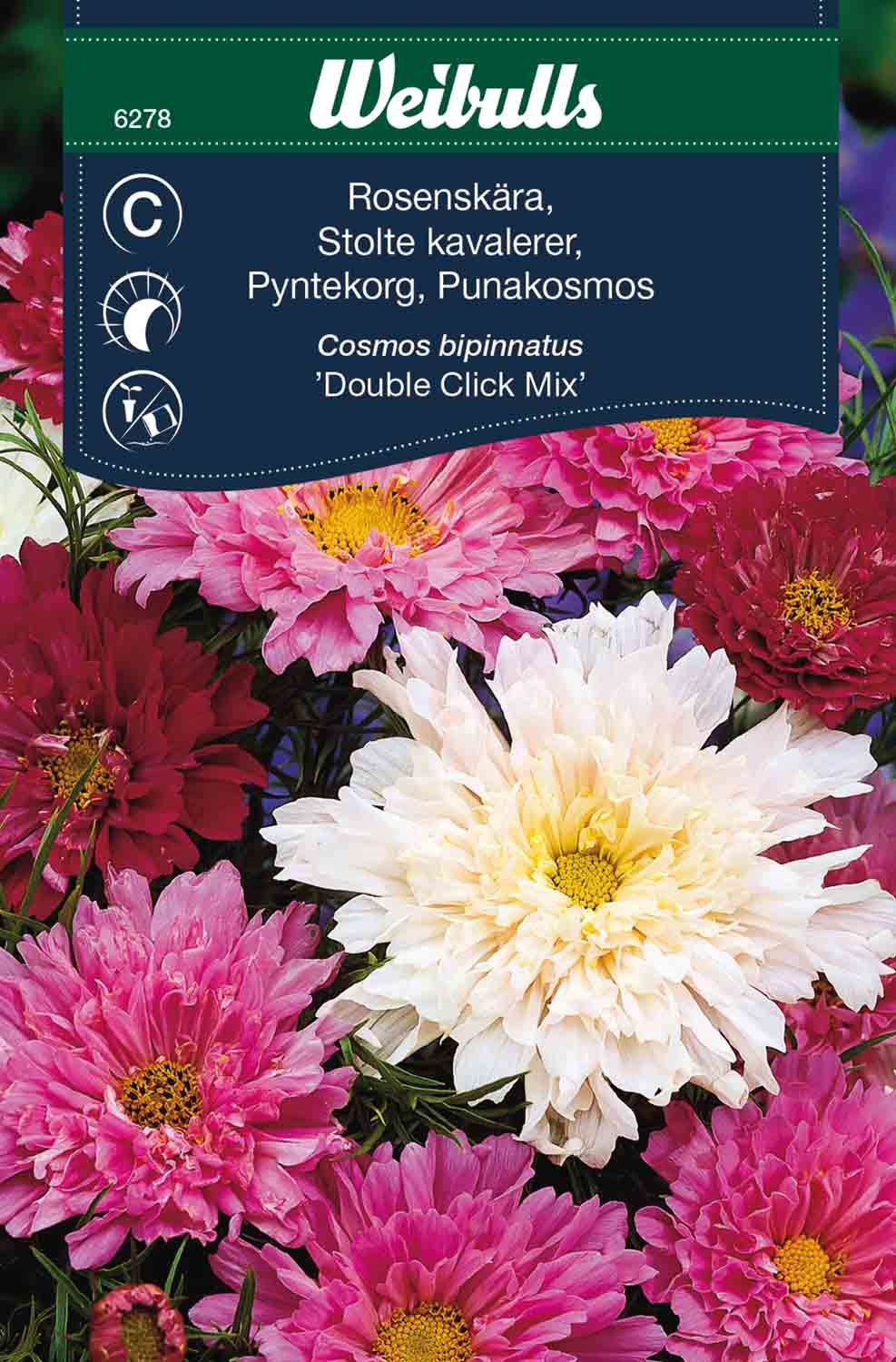Rosenskära double click