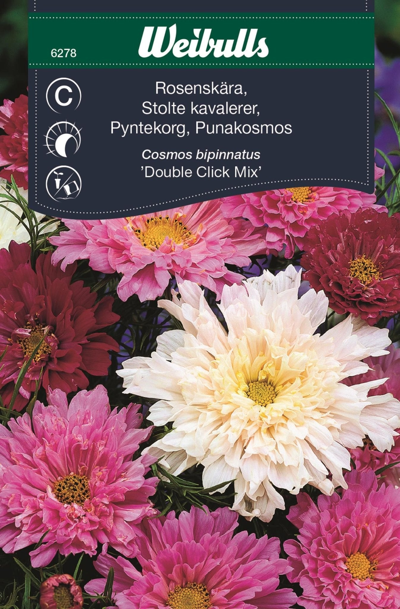Rosenskära double click