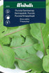 Ruccola,