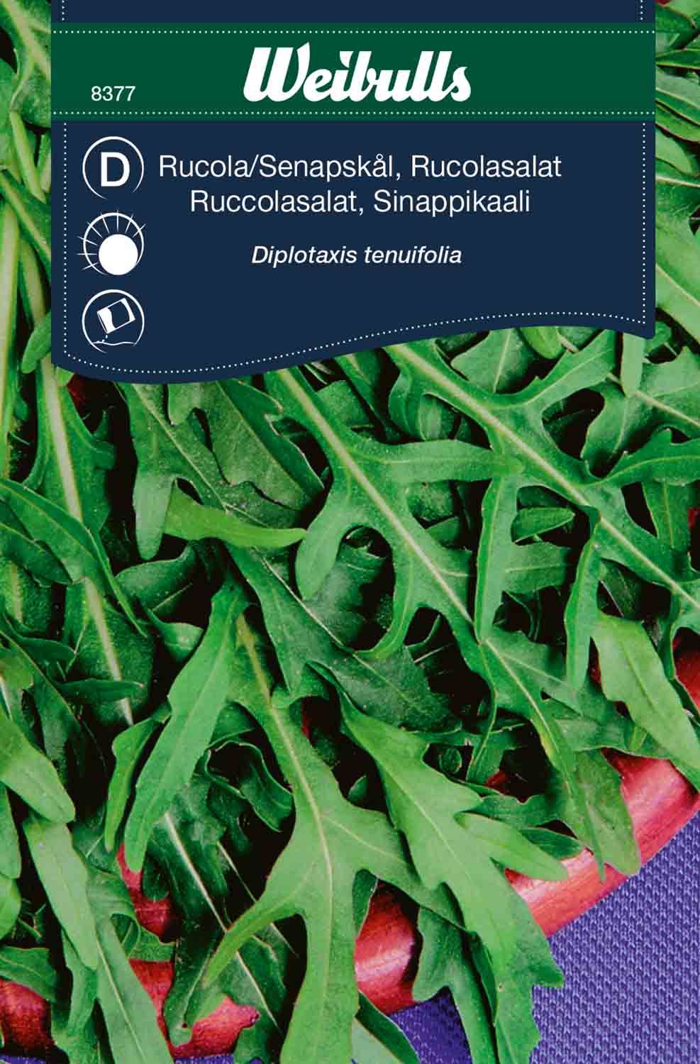 Ruccola, sandsenap Flerårig