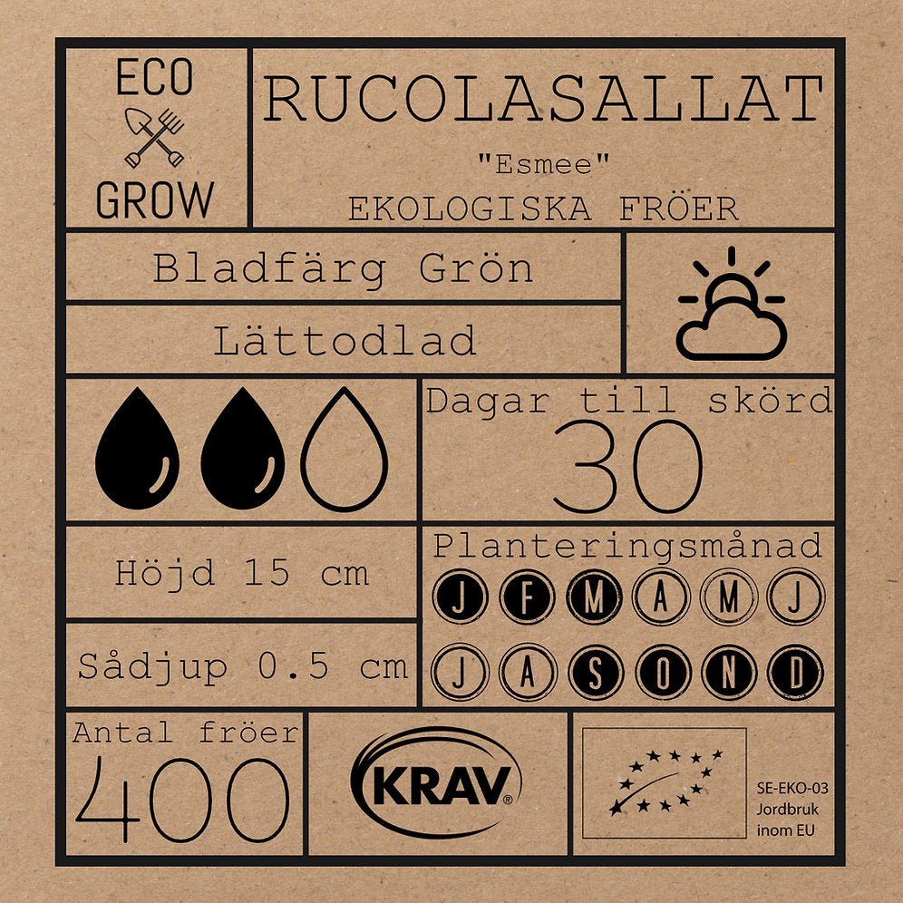 Rucolasallat