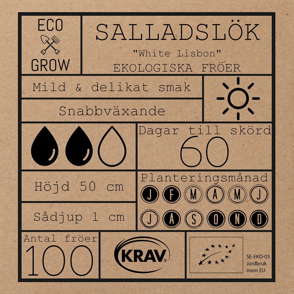 Salladslök