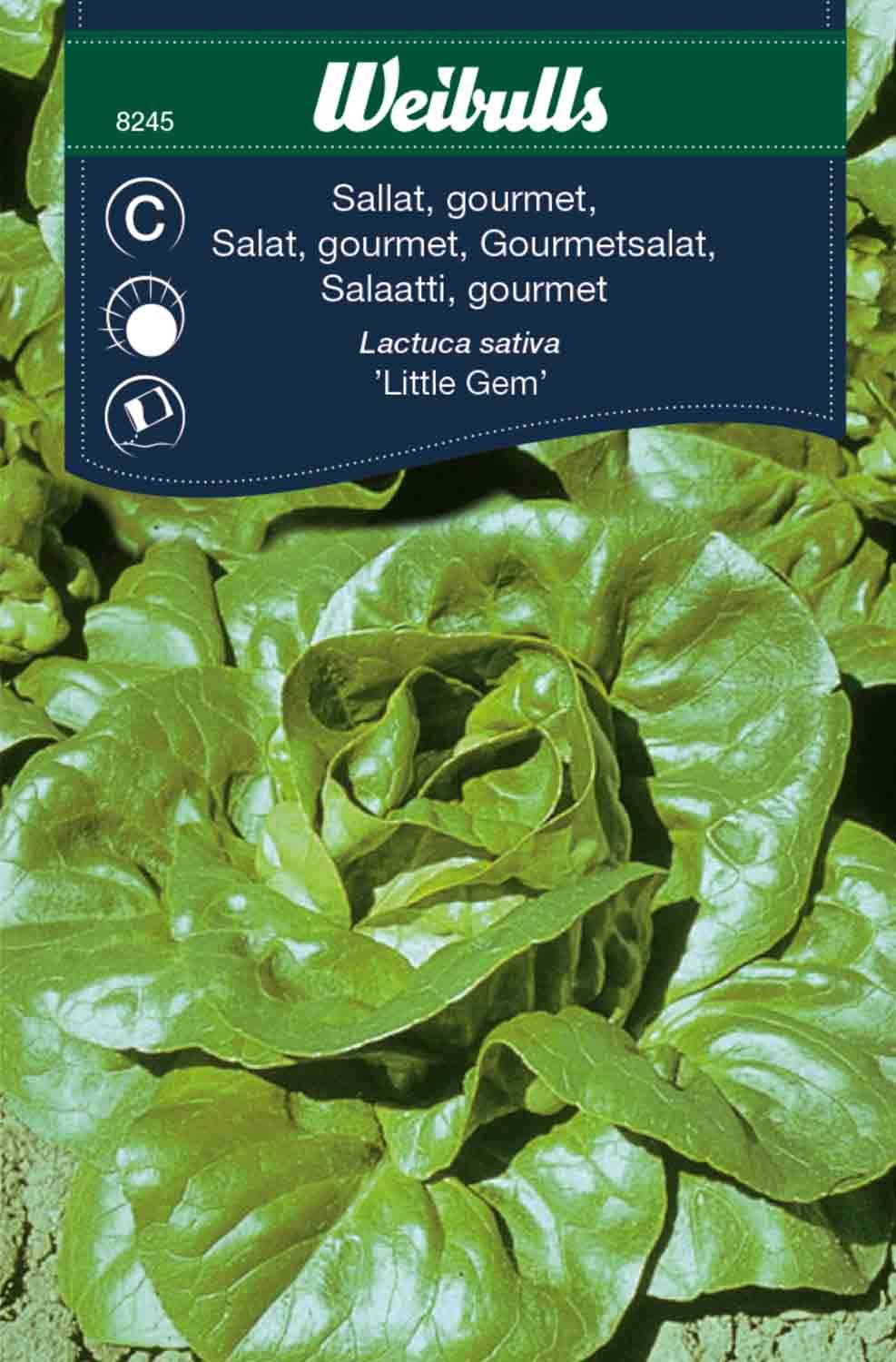 Sallat, gourmet