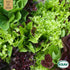 Sallat mix