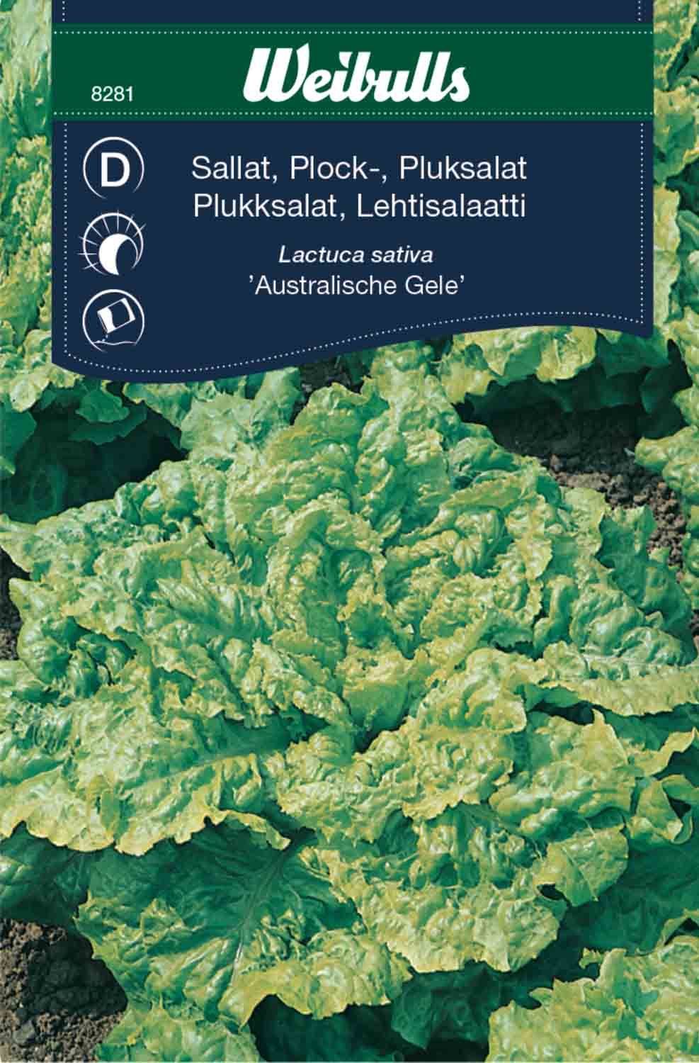 Sallat, plock austr gele