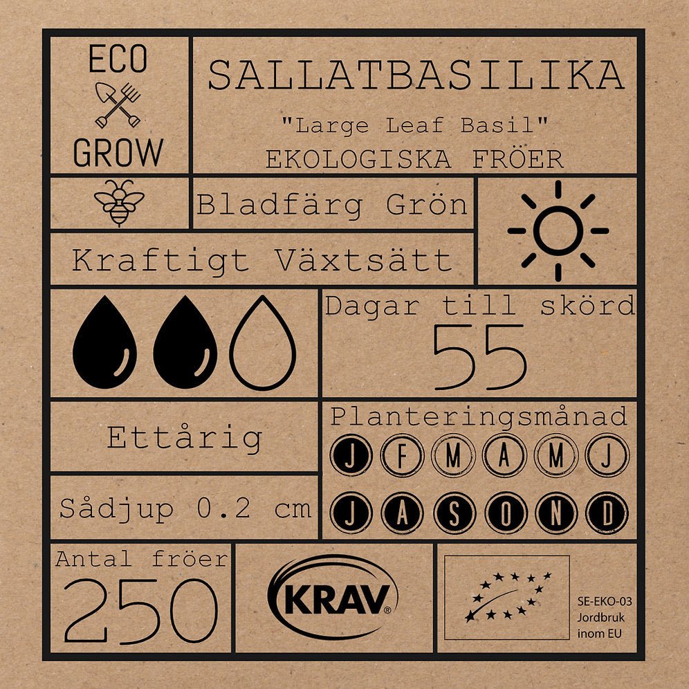Sallatbasilika