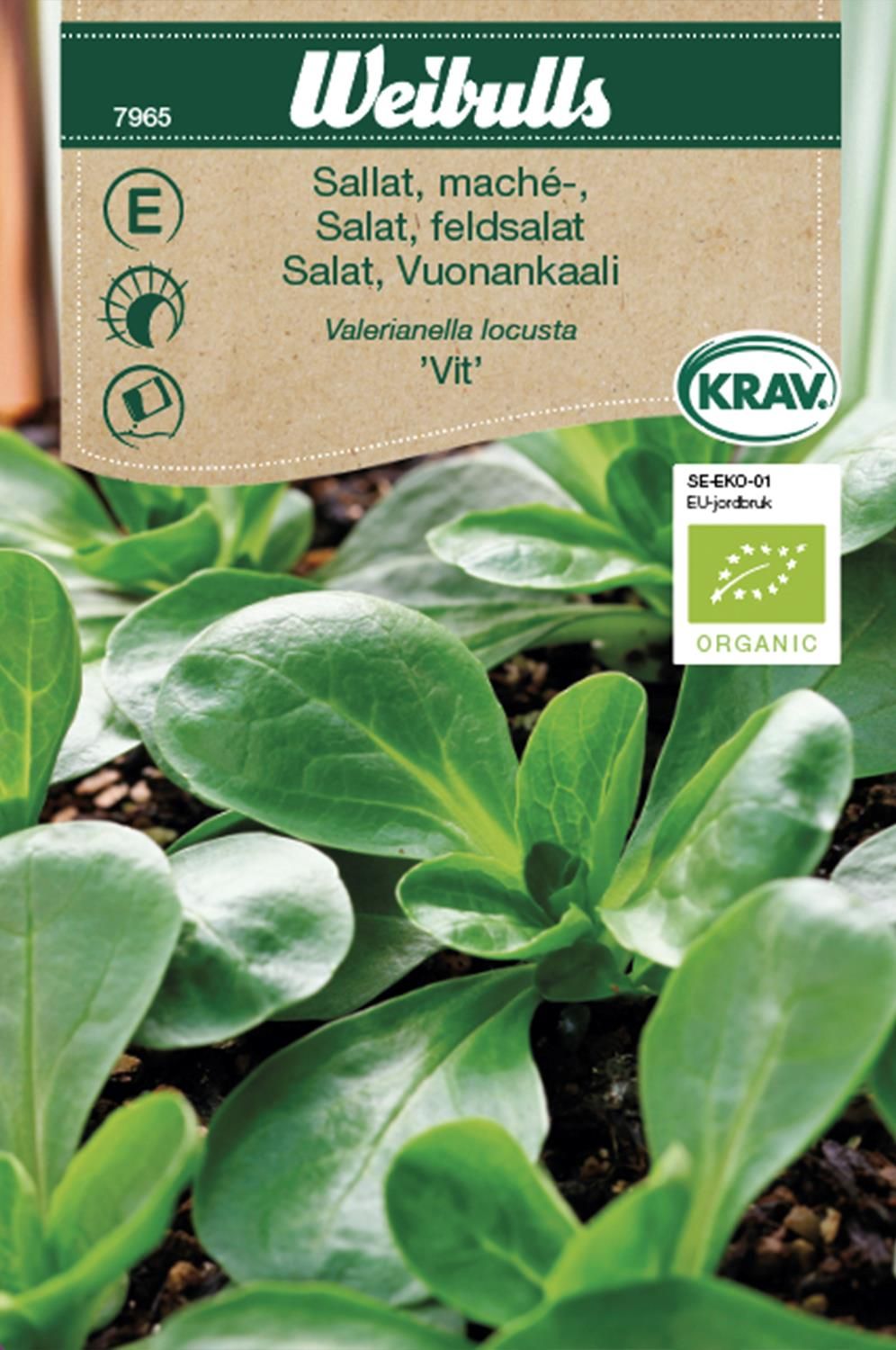 Sallat,mâche, KRAV
