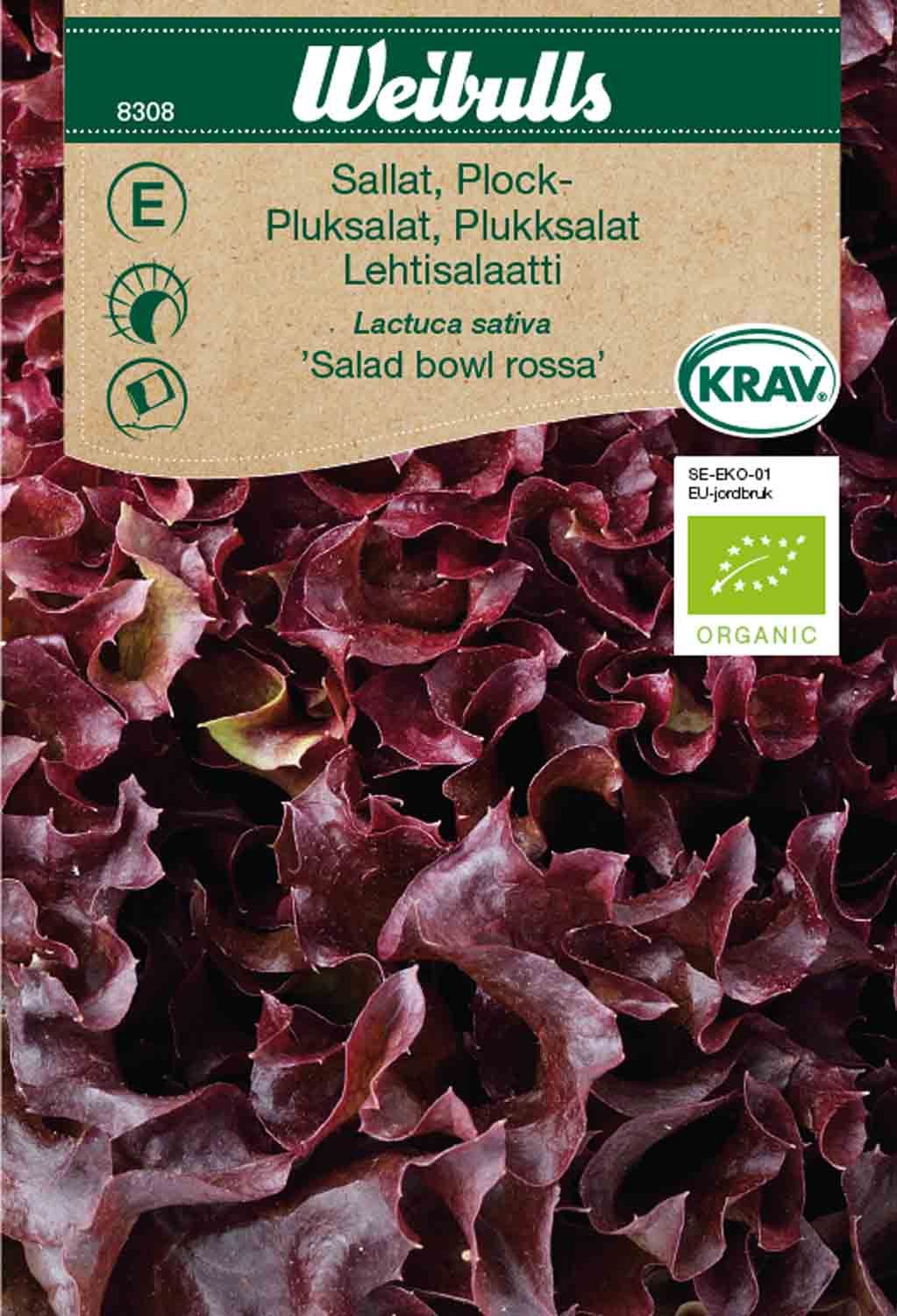 Sallat,plock-,röd KRAV Bowl rossa