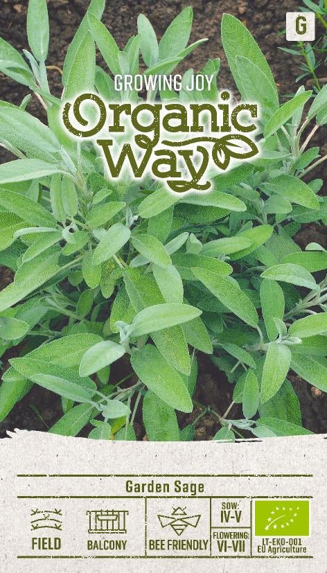 Salvia