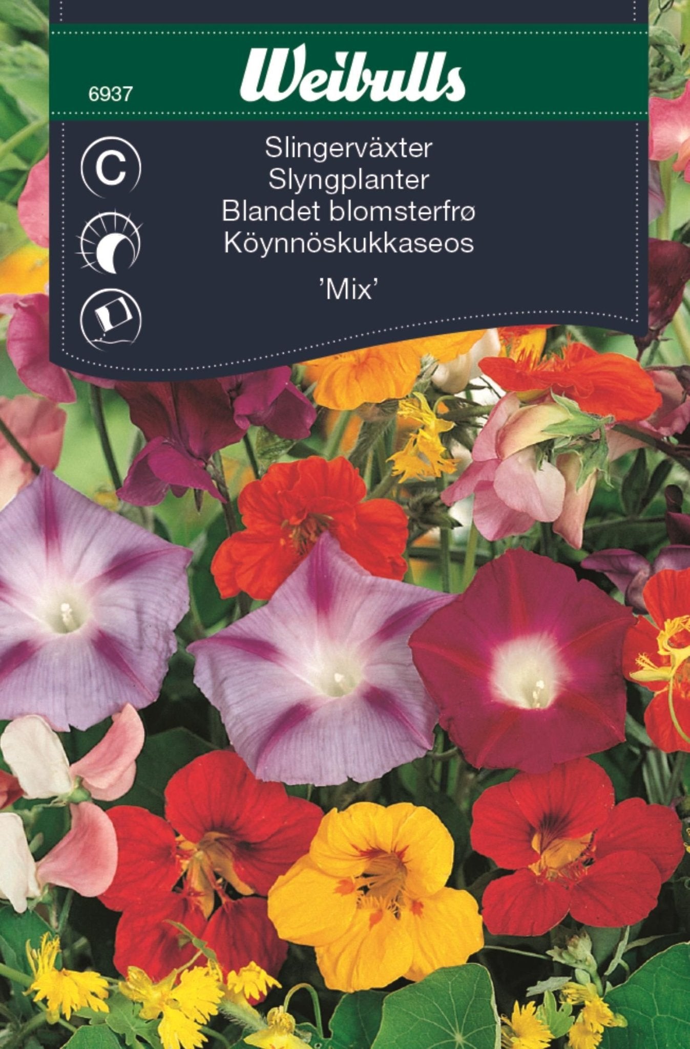 Slingerväxter
