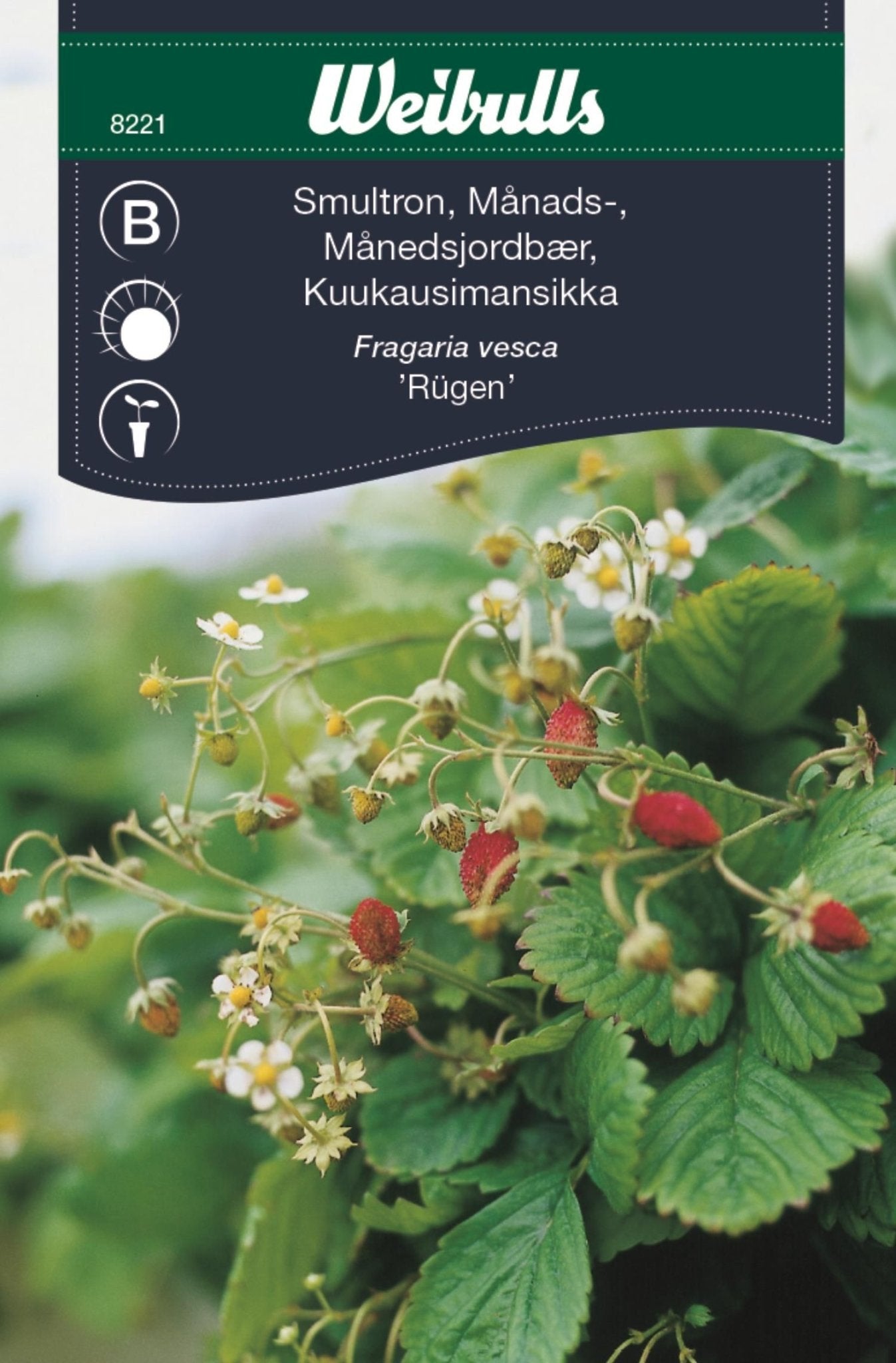 Smultron, månadssmultron