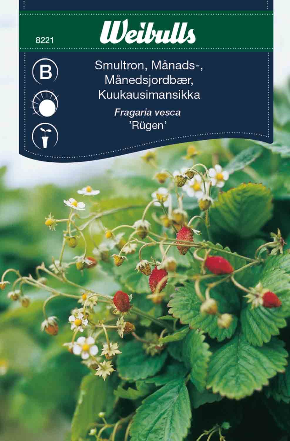 Smultron, månadssmultron