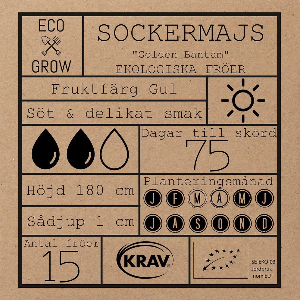 Sockermajs