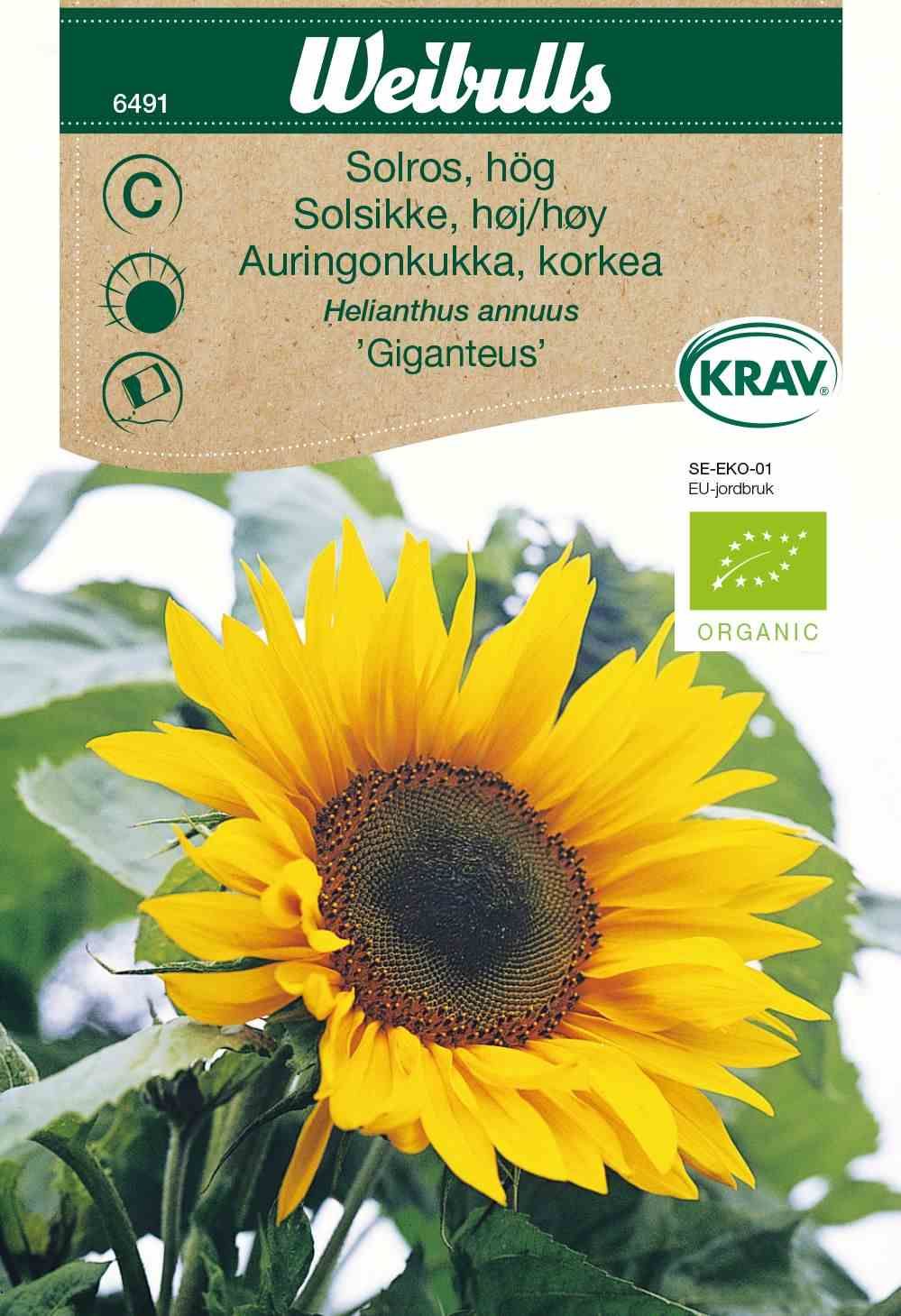 Solros KRAV