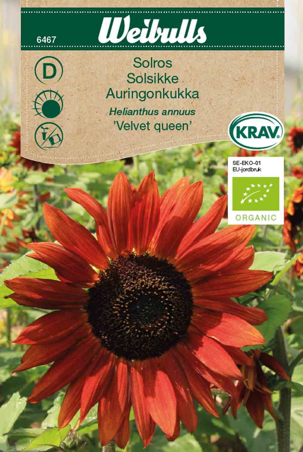 Solros KRAV