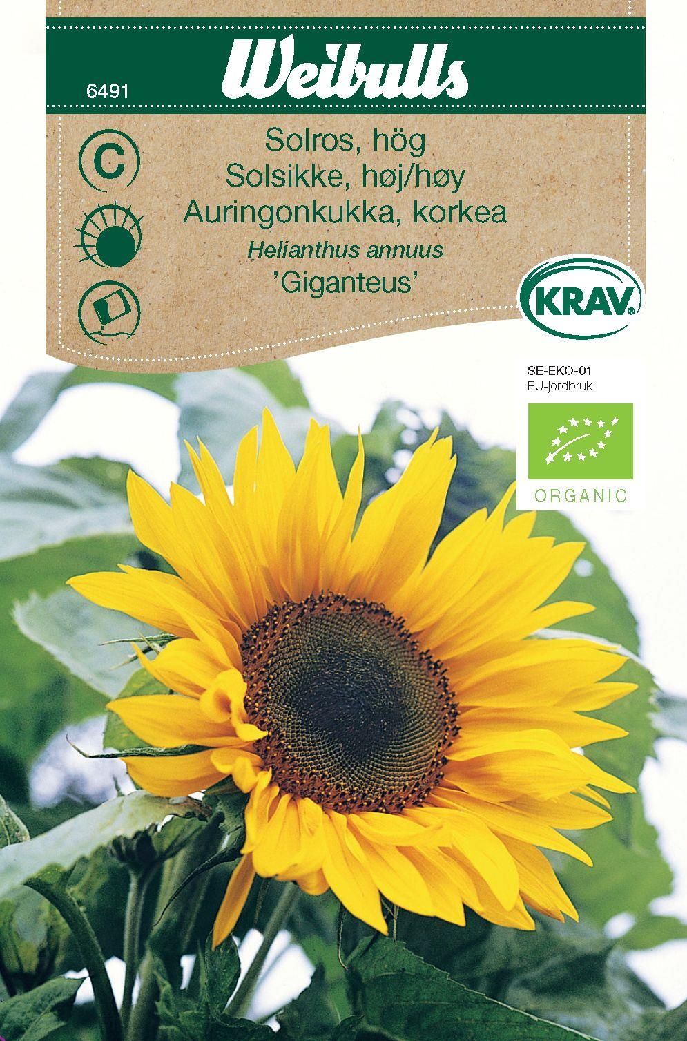 Solros KRAV