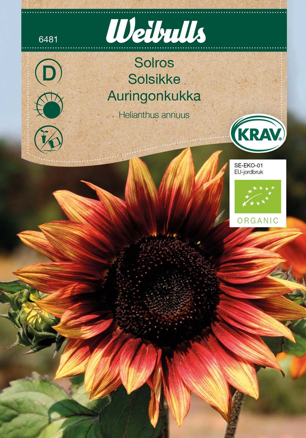 Solros KRAV Röd