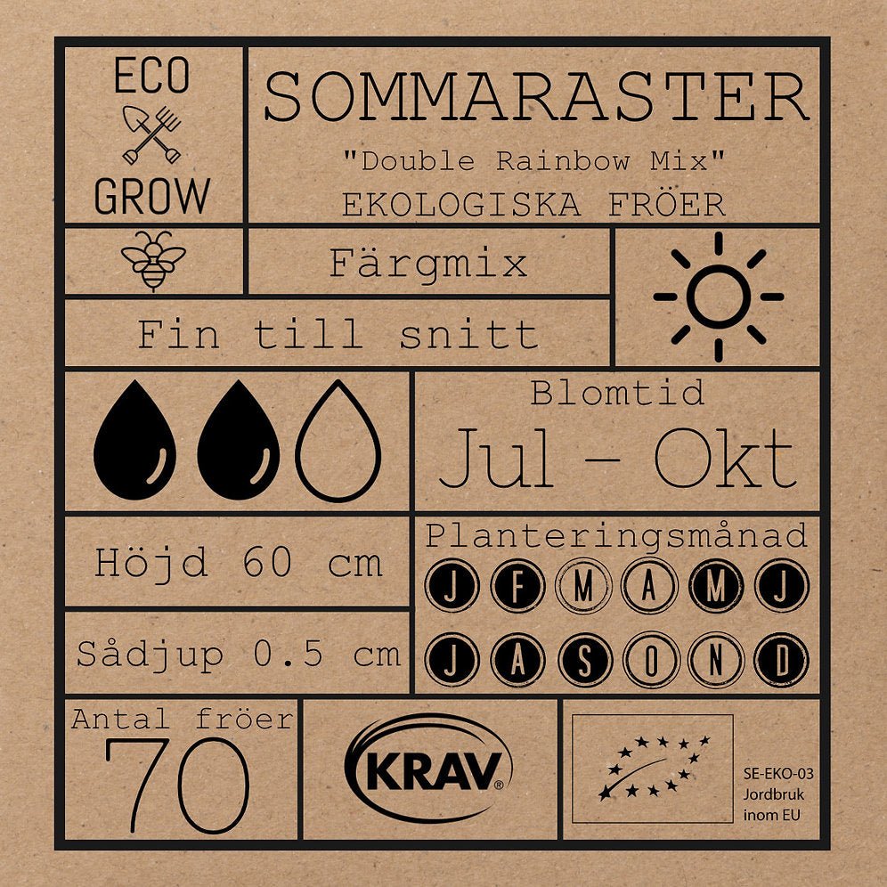 Sommaraster