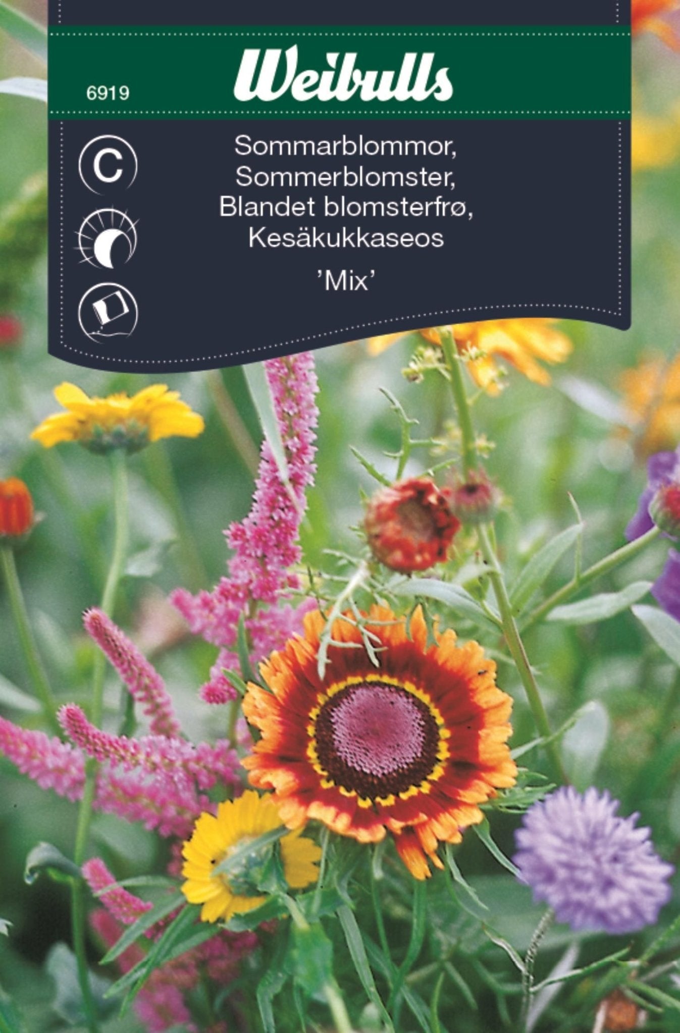 Sommarblommor