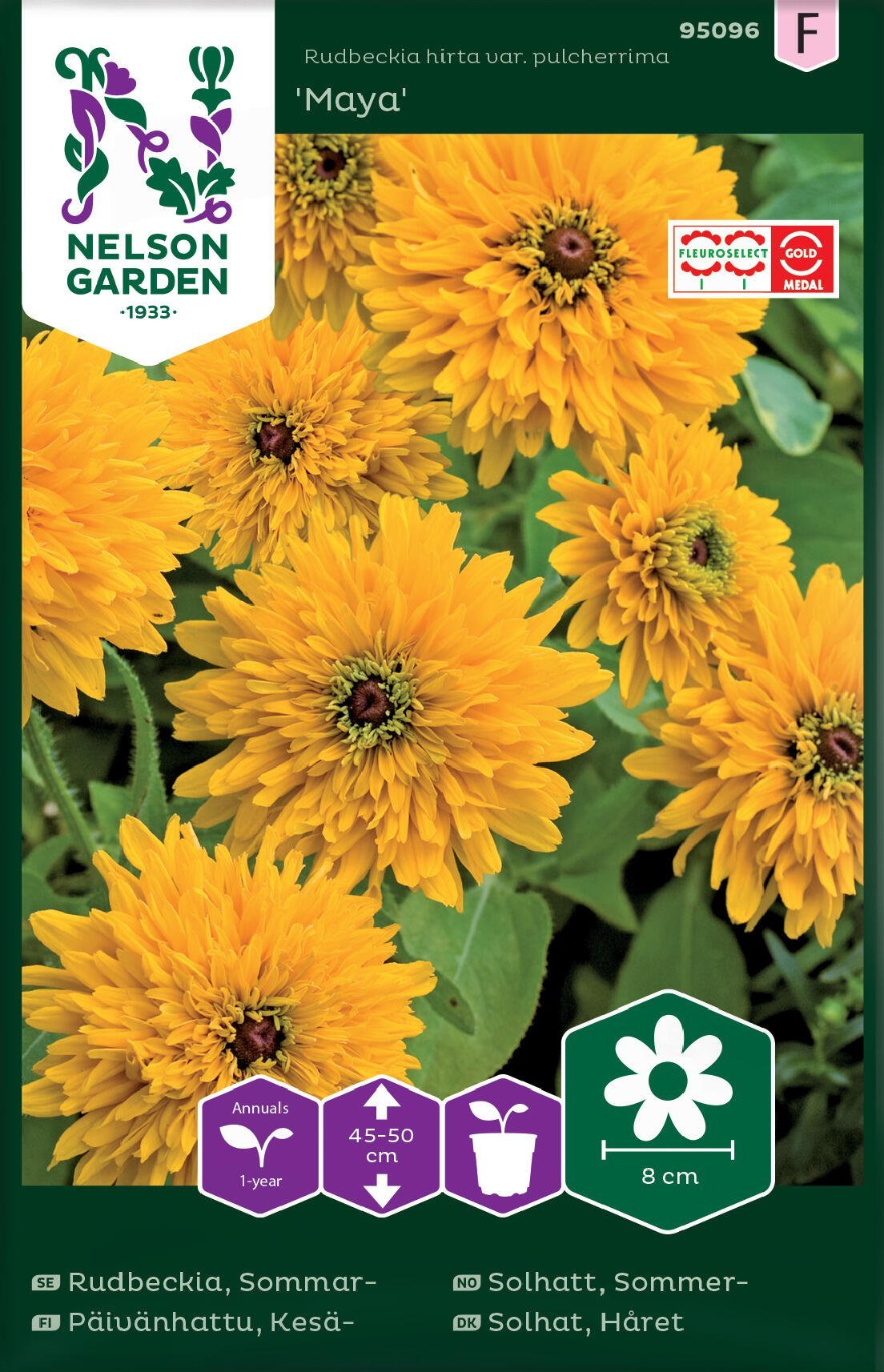 Sommarrudbeckia