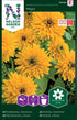 Sommarrudbeckia
