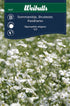 Sommarslöja