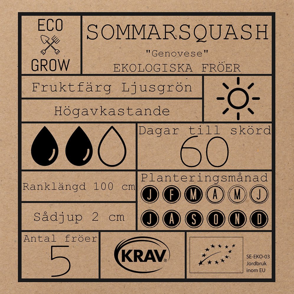 Sommarsquash