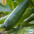 Sommarsquash