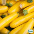 Sommarsquash