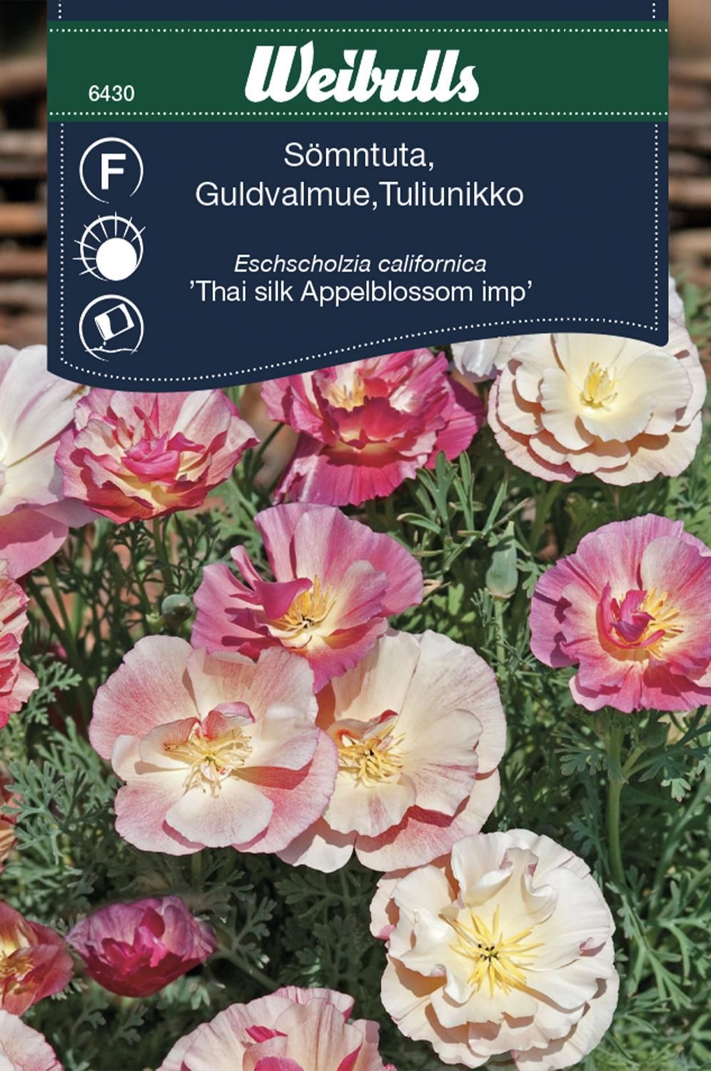 Sömntuta