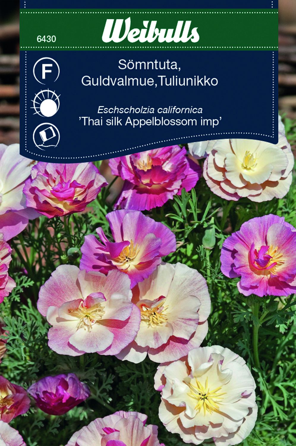 Sömntuta