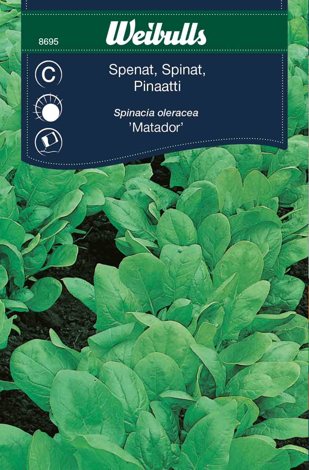 Spenat