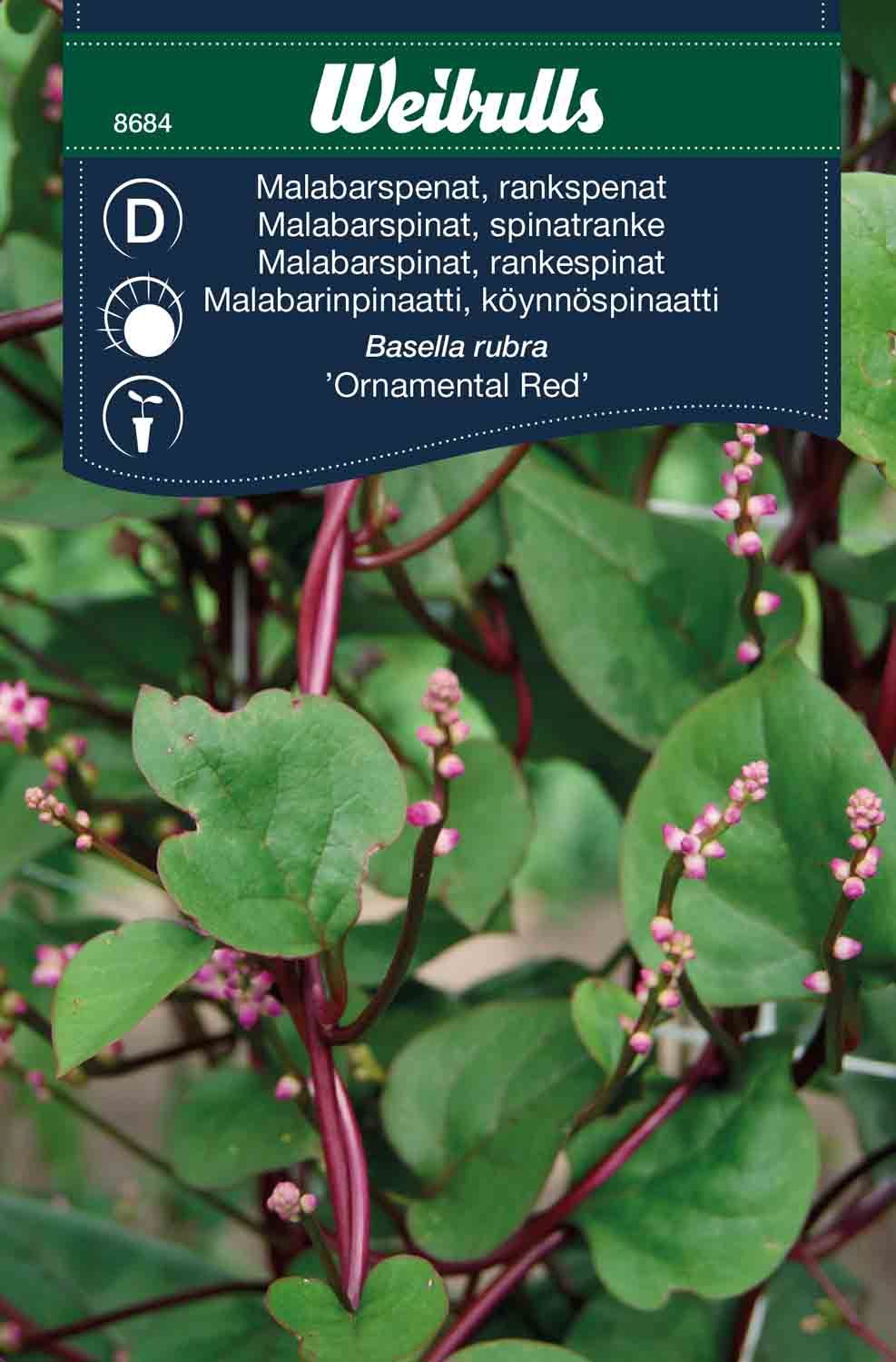 Spenat Malabar Rankspenat