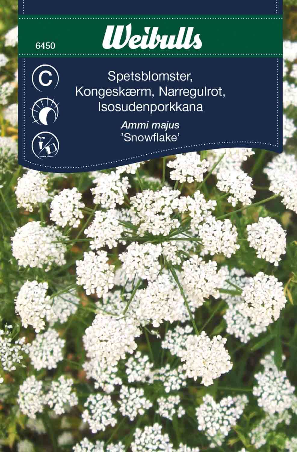 Spetsblomster