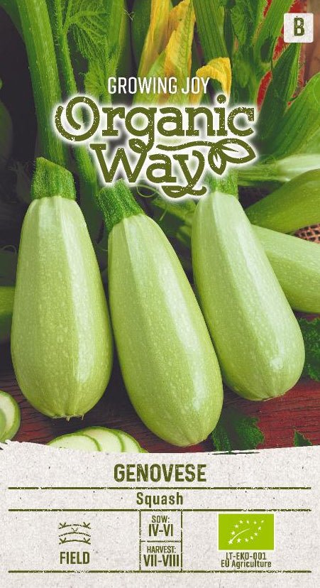 Squash