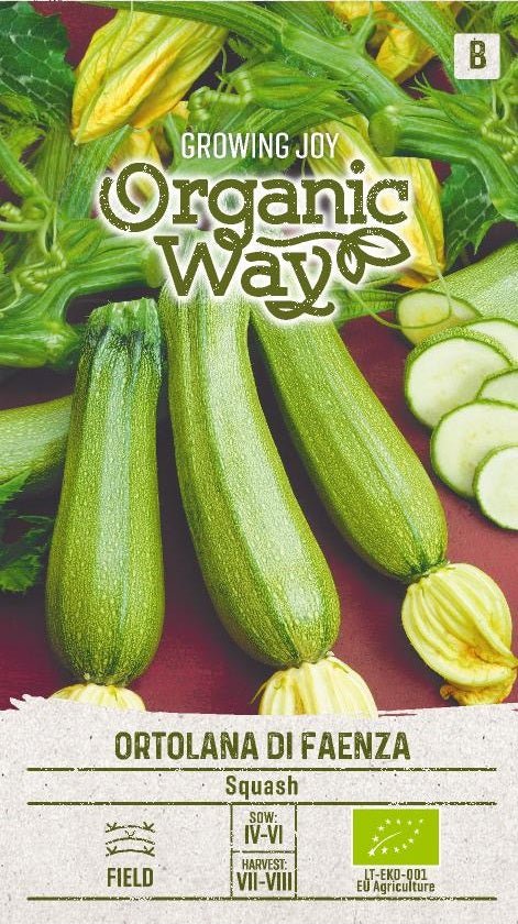 Squash
