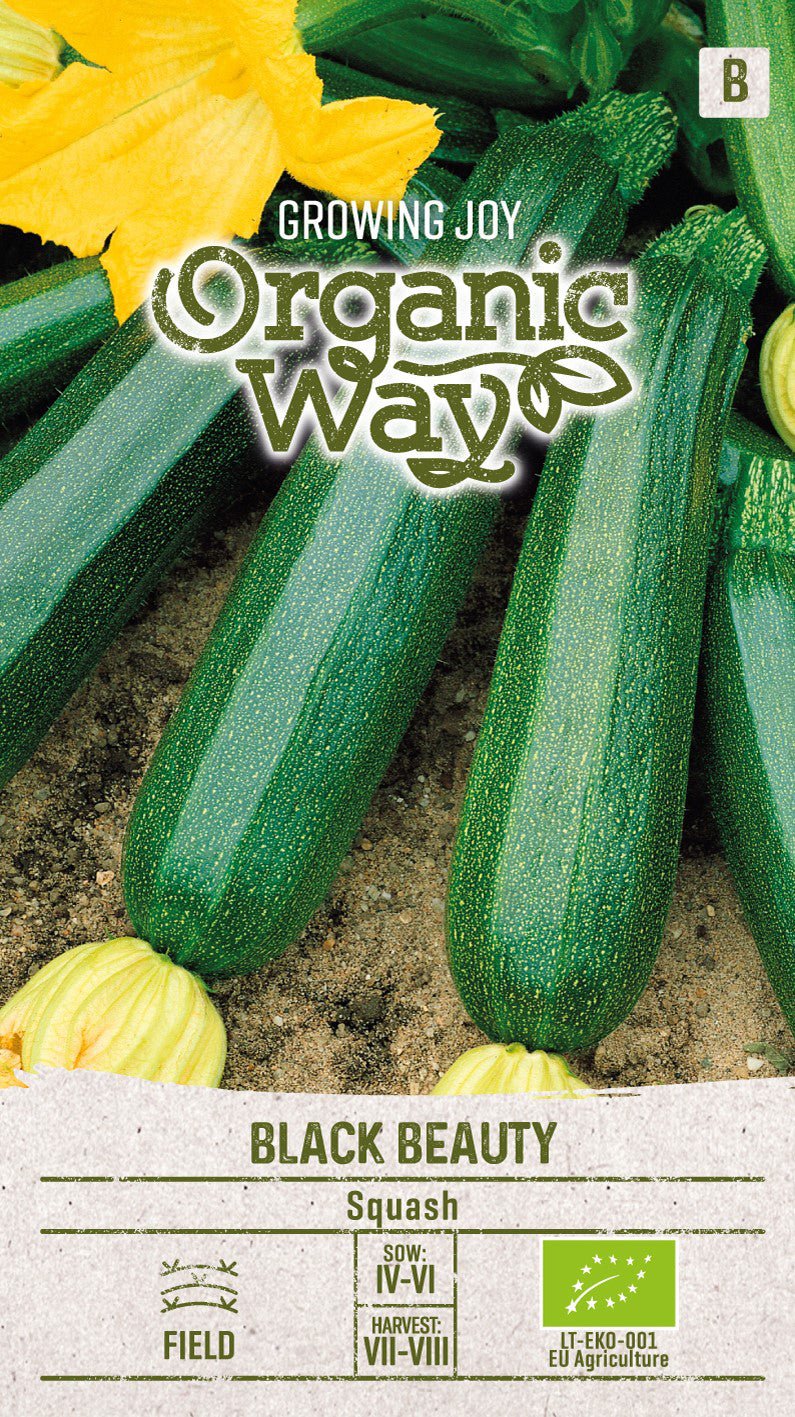 Squash