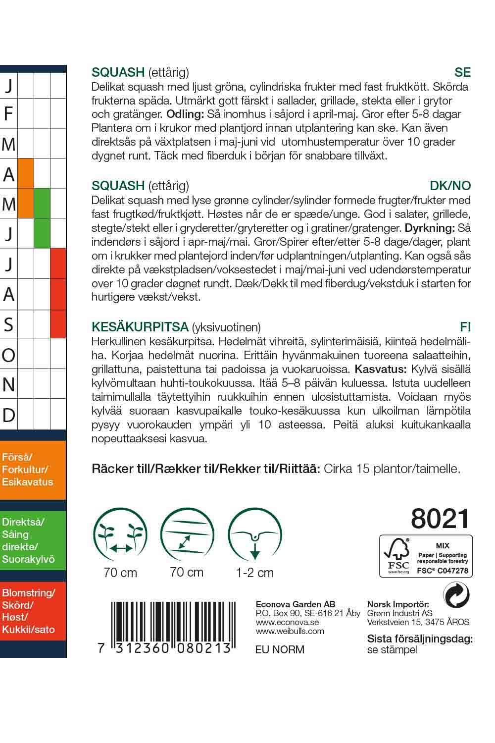 Squash Cucurbeta pepo