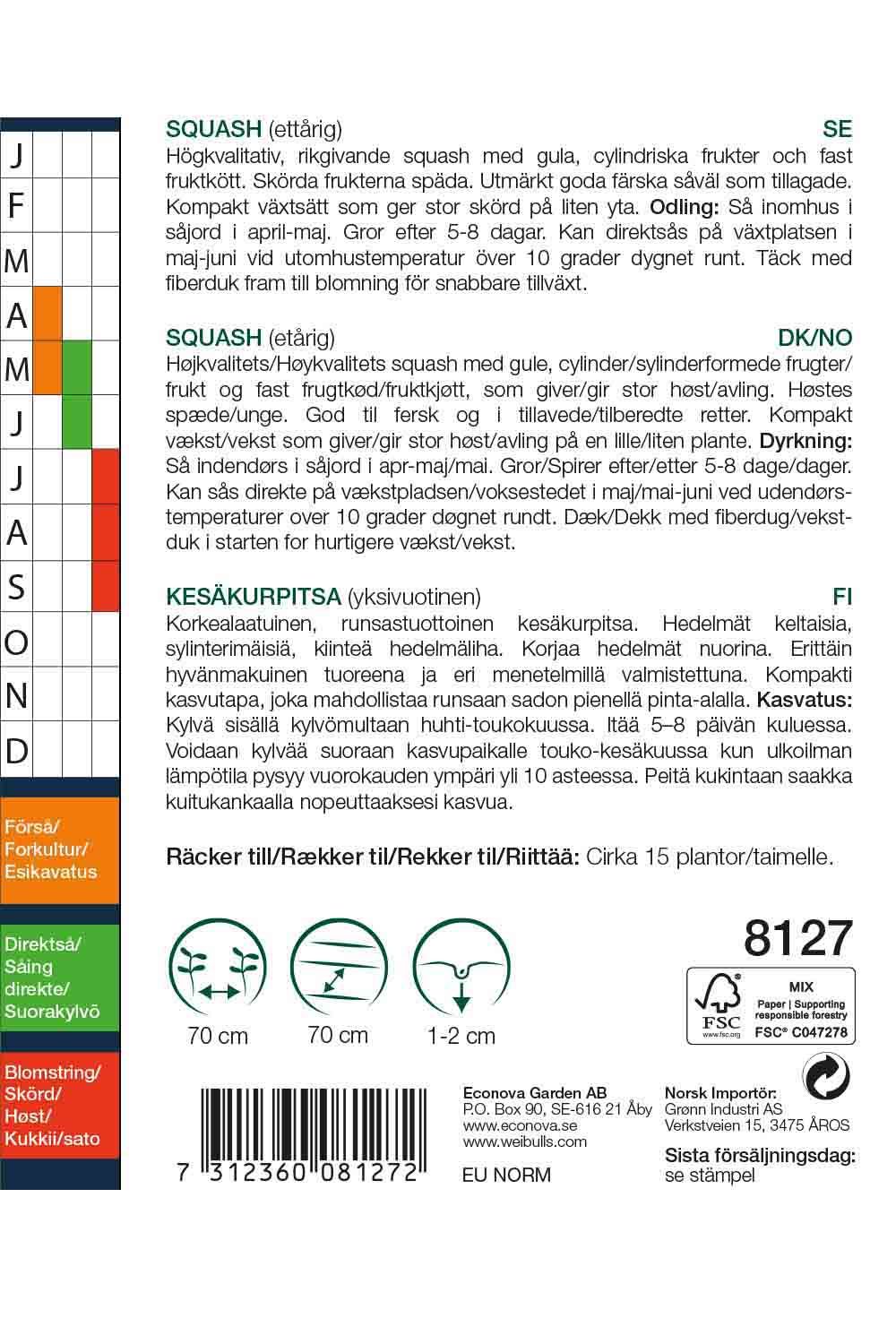Squash Cucurbeta pepo