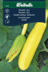 Squash Cucurbeta pepo