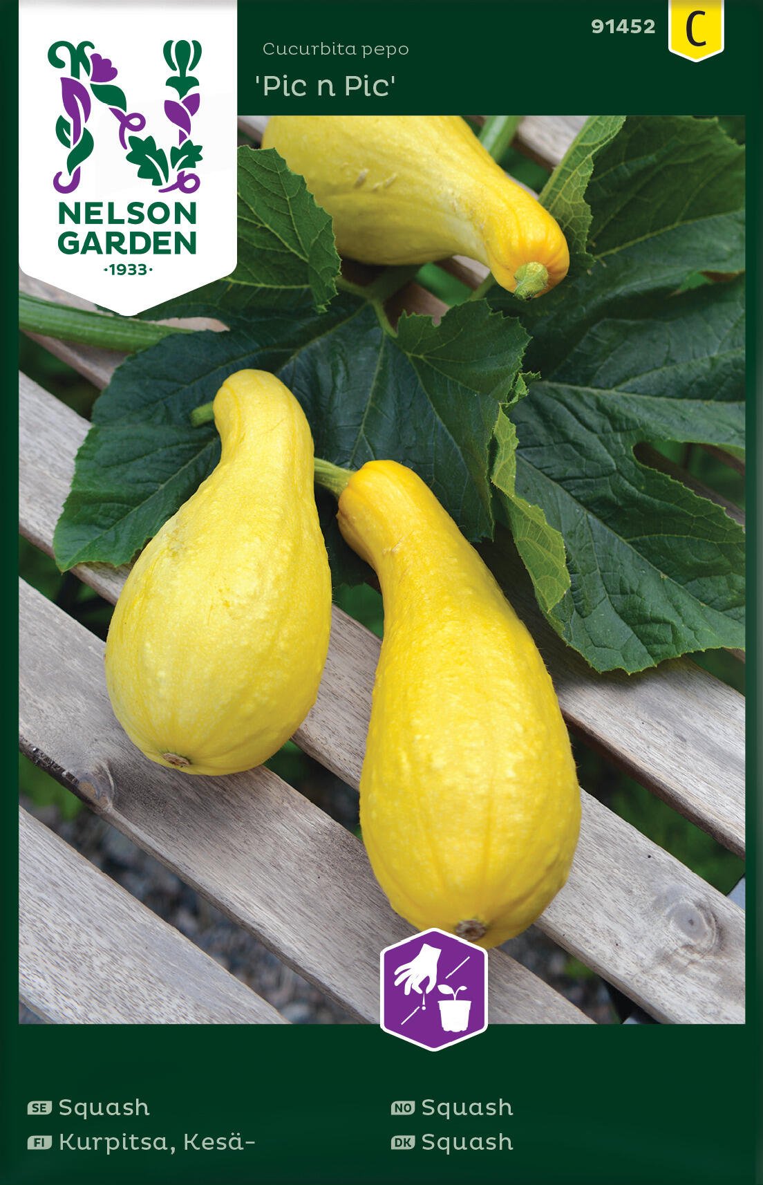 Squash / Sommarpumpa