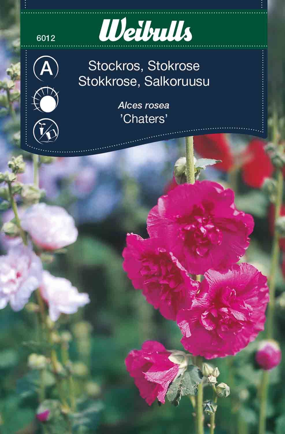 Stockros