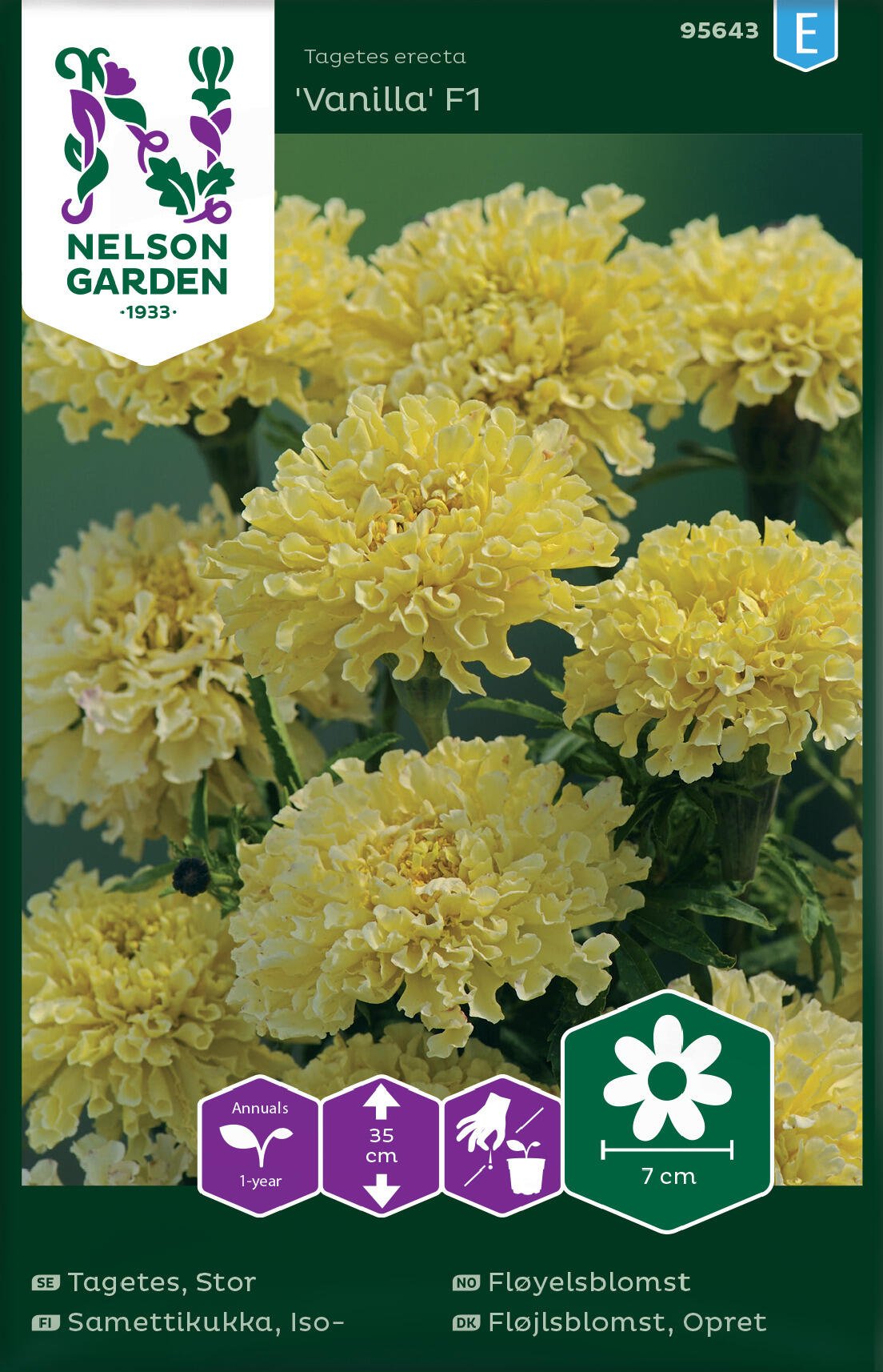 Stor tagetes
