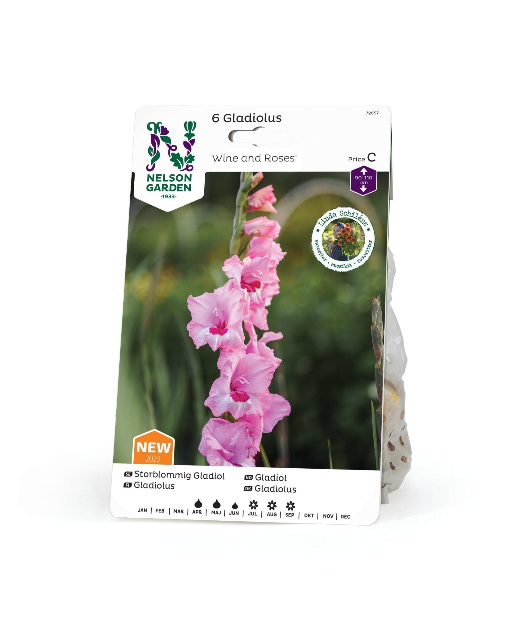 Storblommig Gladiol
