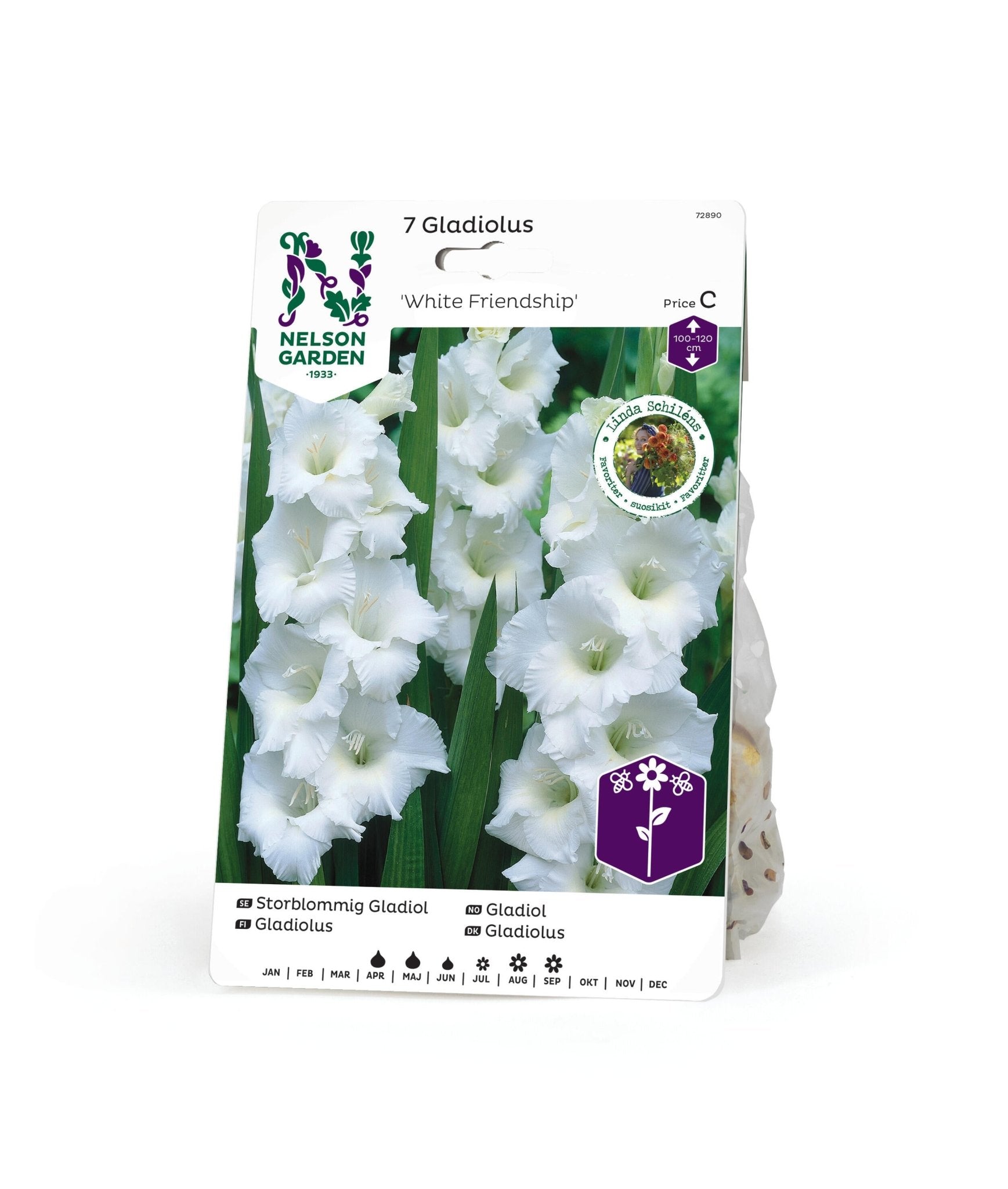 Storblommig gladiol