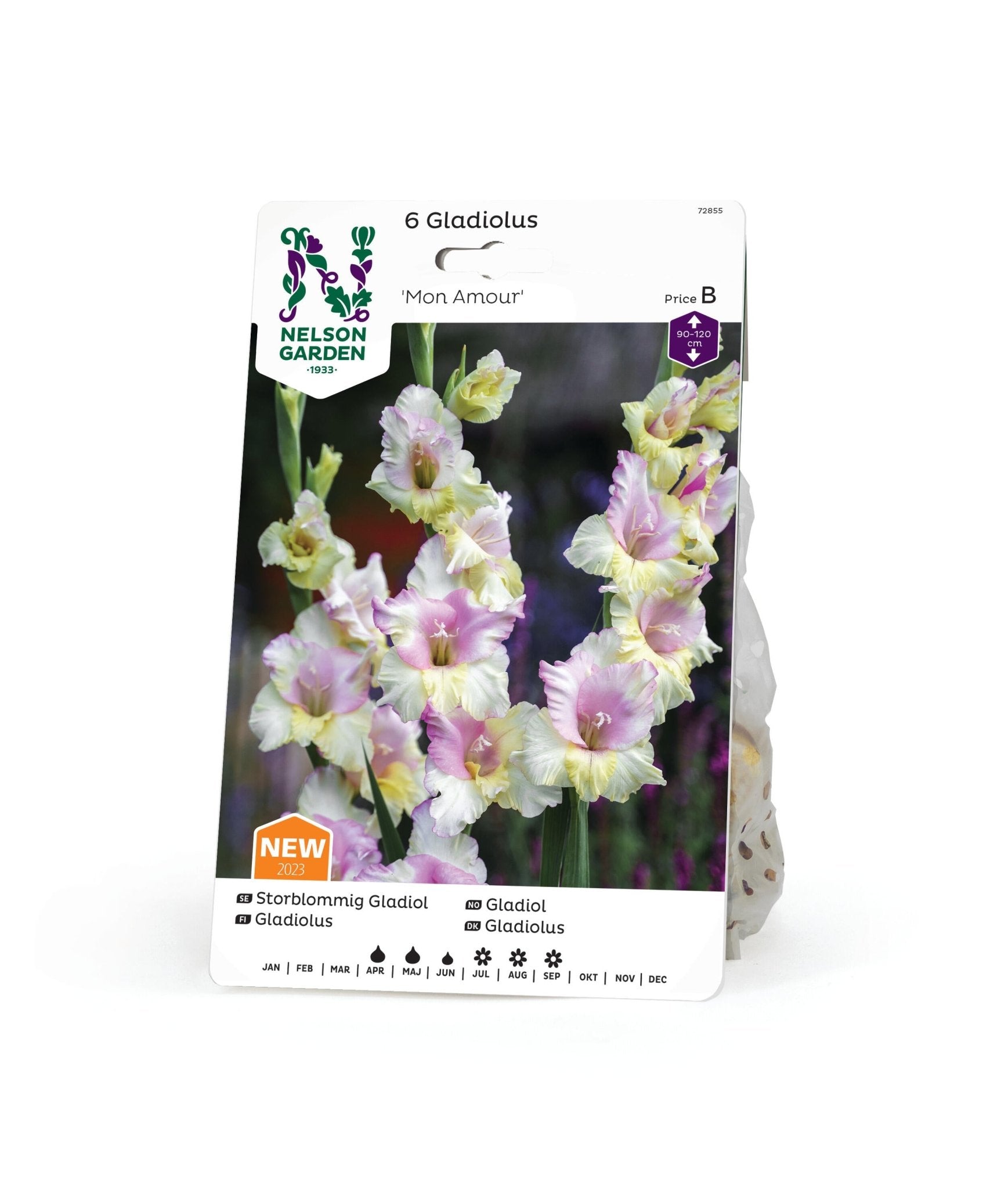 Storblommig Gladiol