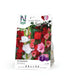 Storblommig gladiol: Lovely Match