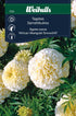 Tagetes