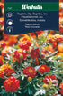 Tagetes